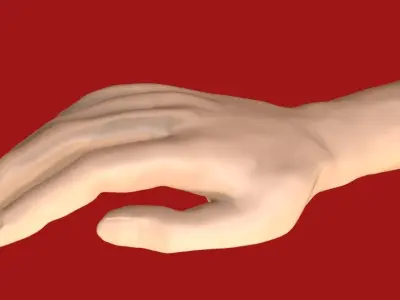 Right Hand Free 3D model