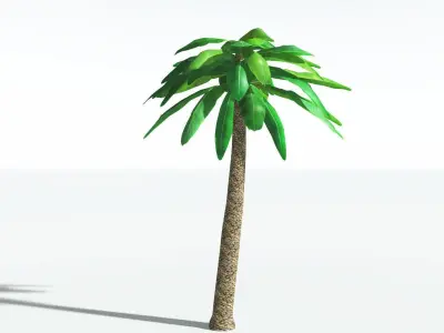 EVERYPlant Bjuvia Cycad LowPoly 1 --12 Models-- Low-poly 3D model