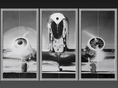 RH AIRPLANE TRIPTYCH 3D model