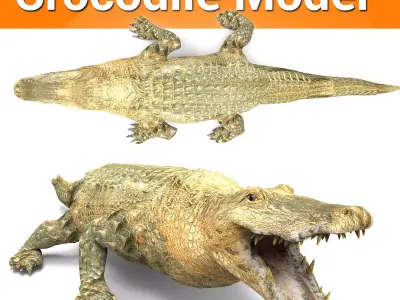 3D african crocodile alligator Low-poly 3D model