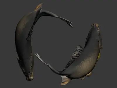 Fish carp 3D model