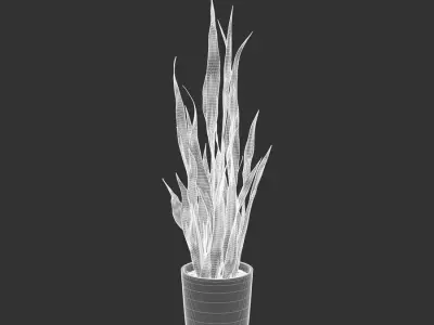  Tall Snake Plant Potted Plant Model 