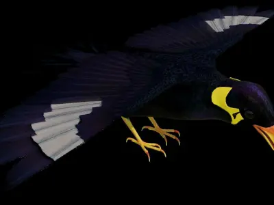 Black Bird Low-poly 3D model