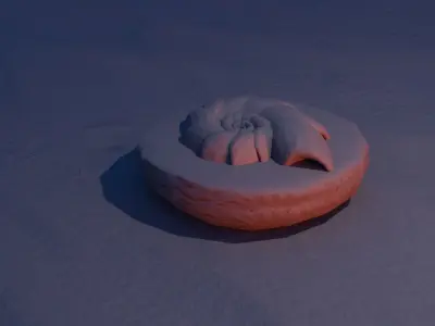 Fossil 3D model