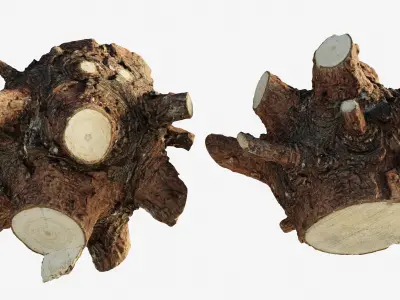 Scanned tree trunk firewood Low-poly 3D model