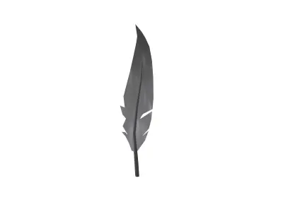 Feathers v1 001 Low-poly 3D model