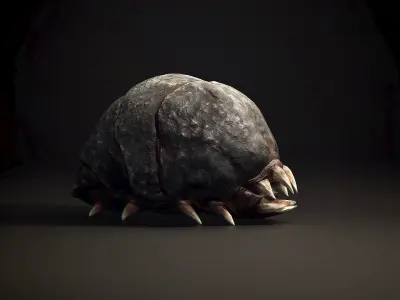 Chrok Worm - Game Ready Low-poly 3D model Low-poly 3D model