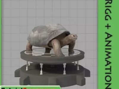 Galapagos-Tortoise tortoise 3D model