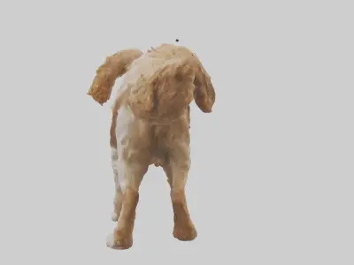 Cocker Spaniel retrieving model 3D model