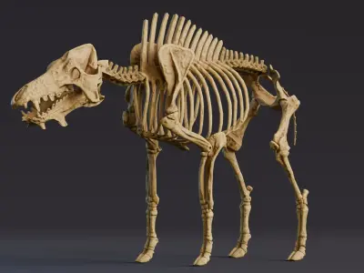 Realistic Mammals Fossil - Entelodont Low-poly 3D model