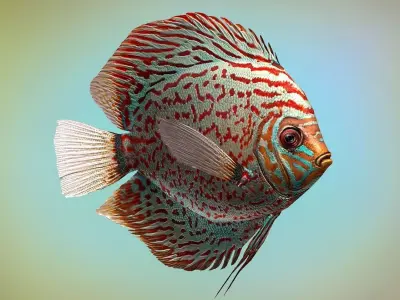 Fish Symphysodon discus Low-poly 3D model