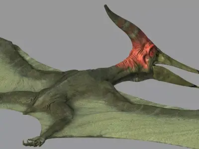 Pterodon animations Low-poly 3D model