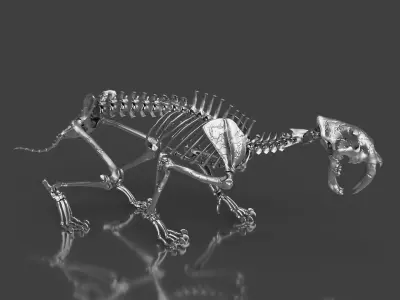 Silver Sabretooth Skeleton for Visualization and Display 3D model
