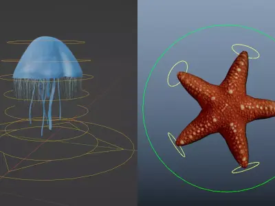 Jelly Fish Rig - Star Fish Rig  Low-poly 3D model