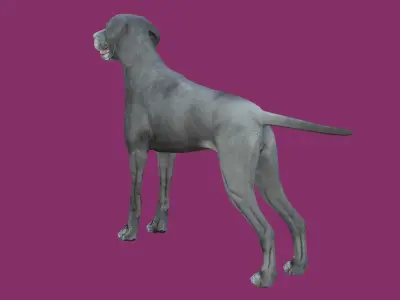 dog lowpoly 3d model 3D model