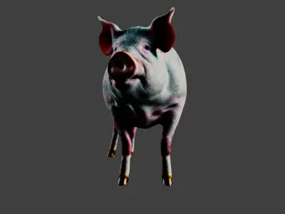 Pig Animal Low-poly 3D model