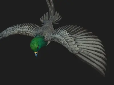 PheasantBird B8 3D model