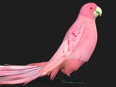 Parrot A8 3D model