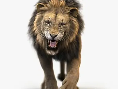 Lion 4 FUR ANIMATED