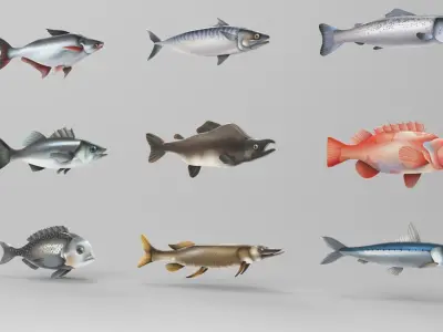 Fish Sea Collection 2 Low-poly 3D model