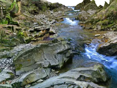 Forest River 16K 3D model