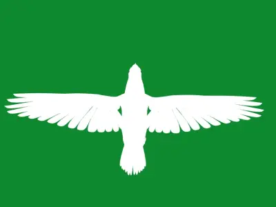 Blue Jay Bird Low-poly 3D model