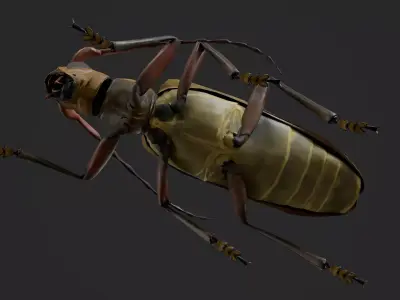 Longhorn Beetle Mantitheus Pekinensis Low-poly 3D model