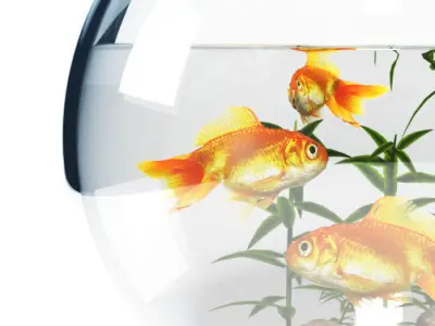 Aquarium  bowl 3D model