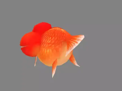 Cartoon big eyed goldfish Low-poly 3D model