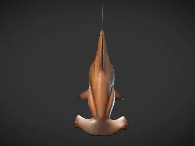 hammerhead sharks Low-poly 3D model