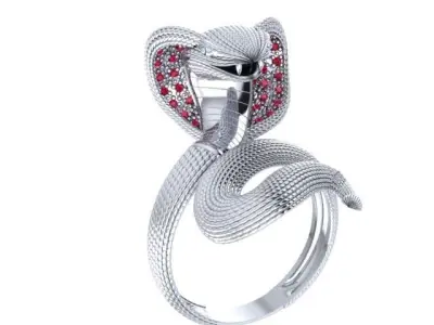 An 2461 Naja cravejada 3D print model