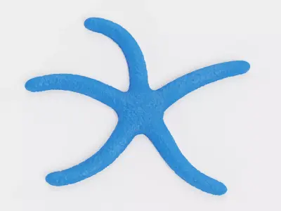 -Blue Stafish - Linckia Laevigata Rigged- 3D model