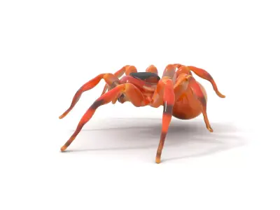 Golden Arachnid model pack Low-poly 3D model