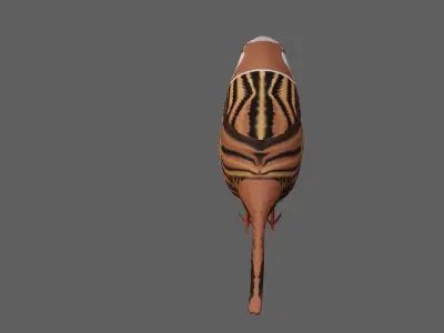 Sparrow Low-poly 3D model