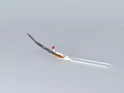 JAL Airlines Flight 79  Free 3D model
