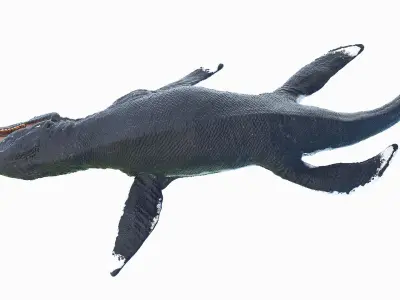 Liopleurodon Animated 3D model
