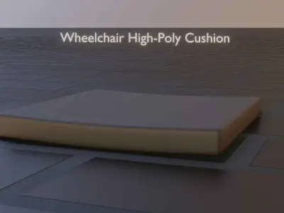 Wheelchair Cushion 3D model