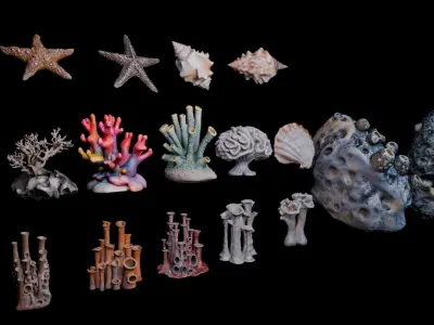 Reef Asset Pack Low-poly 3D model