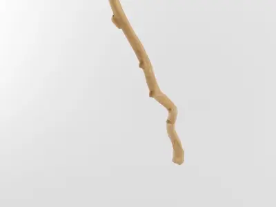 Wooden Stick Branch Staff Low Poly Game Ready asset Low-poly 3D model