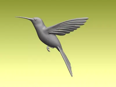 colibri humming bird 3D model
