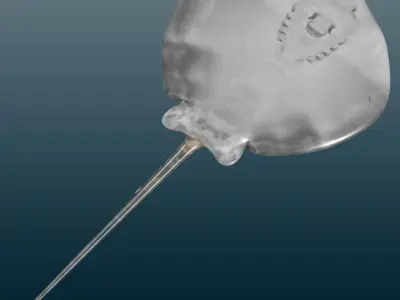 Stingray Fish Rig Low-poly 3D model