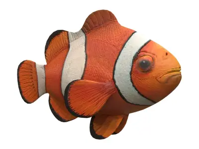 clown fish Low-poly 3D model