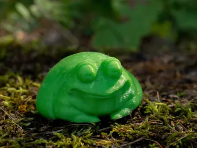 Fat Frog Free 3D print model