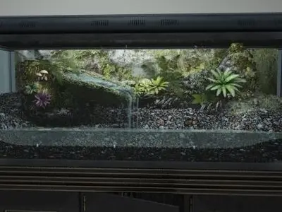 Complete Terrarium and Stand - Equipment 3D model