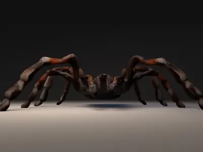 PBR Tarantula rigged and animated Low-poly 3D model