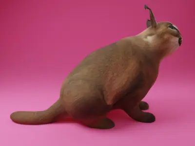 BIG FLOPPA 3D Model Free low-poly 3D model