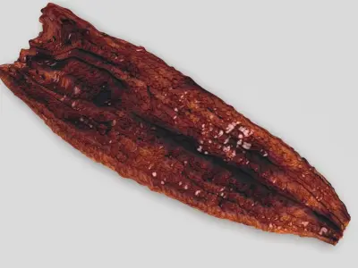 Grilled Eel 3D model