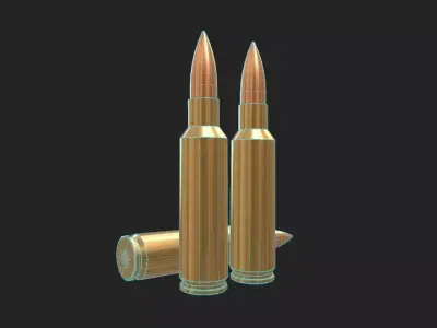 300 Winchester SM Low-poly 3D model