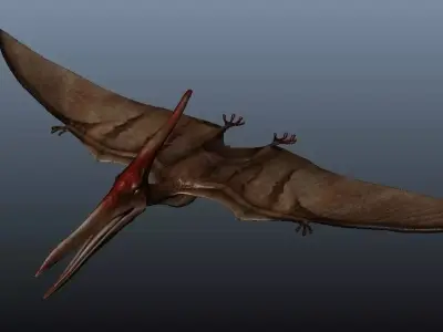 Pteranodon dinosaur flying in sky 3D model