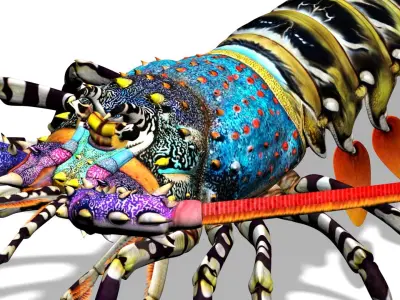 Ornate spiny lobster 3D model